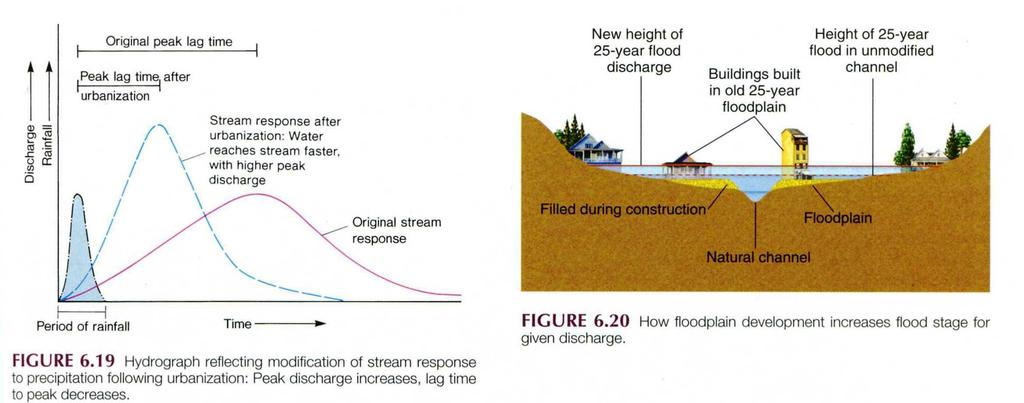 Efektem zabudowywania terenów zalewowych jest zmiana kształtu hydrogramu przepływu.