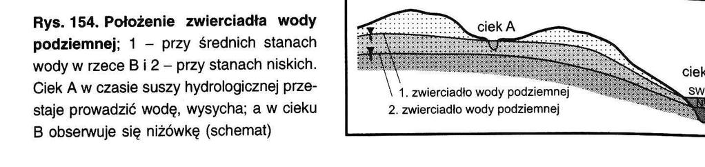 Fazy niŝówki: Susza atmosferyczna niedostatek opadów Susza glebowa