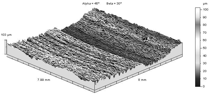 The surface of cast iron pin after S25\Cs1 composite disk the mating,5 tarcza: S1\25\5,