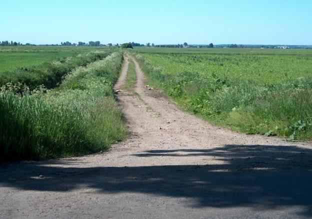 Scalanie w ramach PROW 2014-2020 Dzisiejsze scalenia gruntów to Wsparcie na inwestycje w infrastrukturę zwązane z rozwojem,