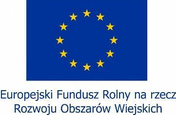Mapa do celów projektowych, Nadzór budowlany, Projekt ogólny
