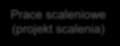 INWESTYCYJNE OGÓLNE INWESTYCYJNE OGÓLNE Prace geodezyjne, Szacunek