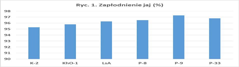 Program ochrony zasobów genetycznych kaczek utrzymywanych w IZ PIB W populacjach kaczek objętych programem bioróżnorodności nie prowadzi się selekcji,