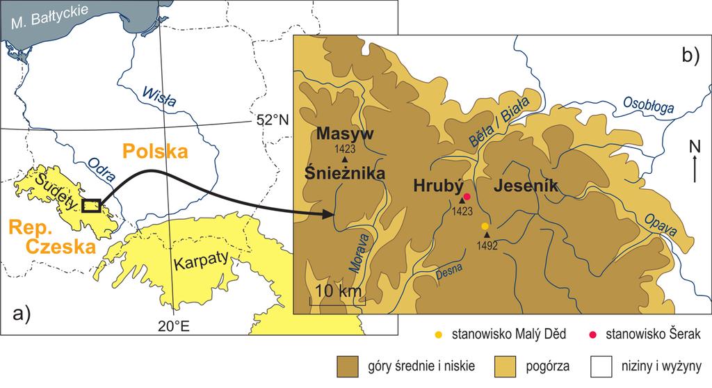 na górnej granicy lasu w Sudetach Wschodnich.