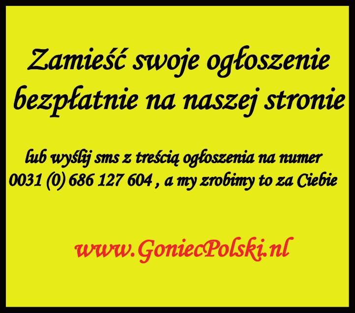 Nasza Holandia 11 OGŁOSZENIA DROBNE Trans port ofe ru ję: Bu - sy do Ho lan dii / Bu sy do Pol ski z Wi Fi i DVD od 60 Eu ro!!! Prze - wóz osób Pol ska Niem cy Ho lan dia.