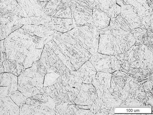 Struktura stali G1 po austenityzacji w