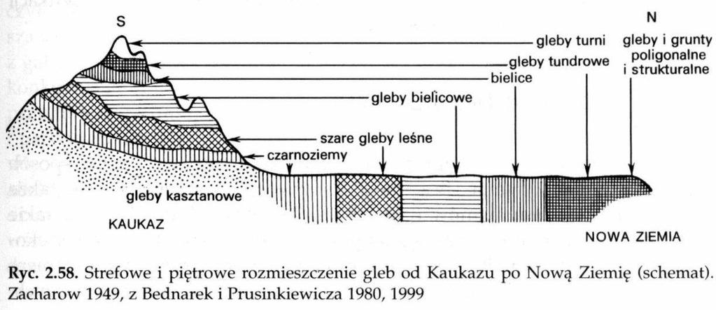 Kornaś J. i Medwecka-Kornaś A.