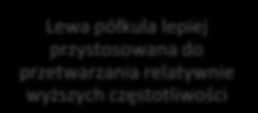 Selekcja relatywnych częstotliwości spośród