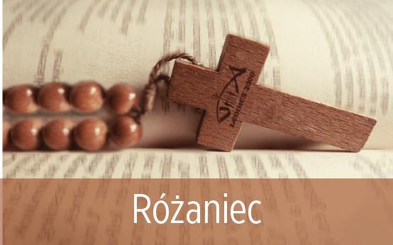 Różaniec dla młodych ma być towarzyszem drogi, który będzie podtrzymywać gorący entuzjazm budowania wspólnoty z innymi. Modląc się na różańcu, stajemy się naśladowcami Maryi, mamy odwagę iść i kochać.