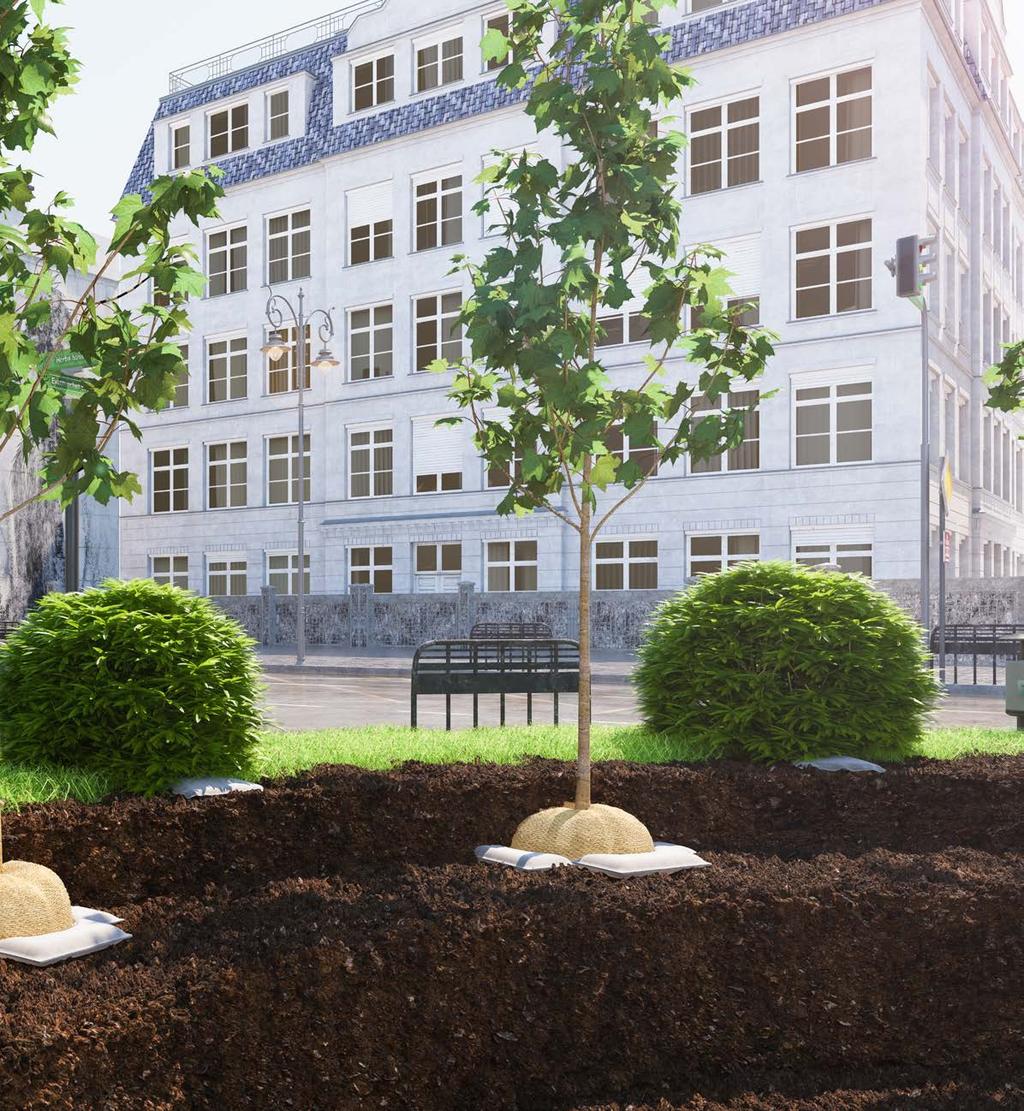 NASADZENIA DRZEW I KRZEWÓW MAT PROFI 20x34x4 W okresie pierwszych kilku lat od założenia ogrodu nowo posadzone drzewa są