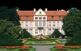 Olivos katedra Oliva Abatų rūmuose Olivoje yra įsikūręs Nacionalinio muziejaus Šiuolaikinio meno skyrius.