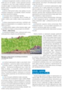 Informatization