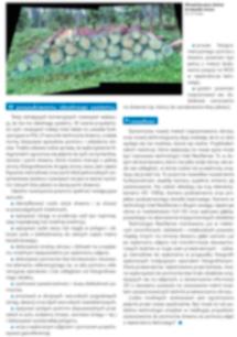 Informatization