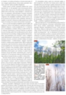 DISEASES OF EUROPEAN ASH Forest