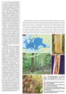 Diseases of European ash Forest