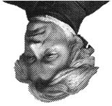 BIOLOGY HL (poziom rozszerzony) I. OPIS KURSU Biology HL jest dwuletnim kursem, przygotowującym do studiów uniwersyteckich na kierunkach medycznych i przyrodniczych.