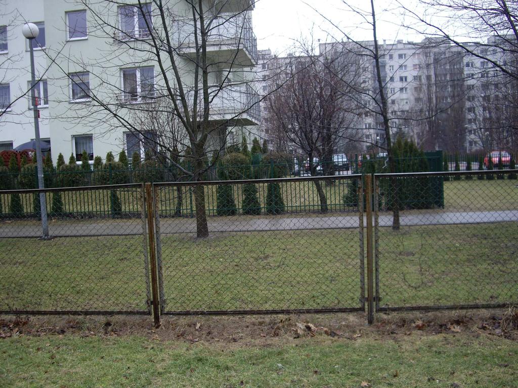 PROGRAM