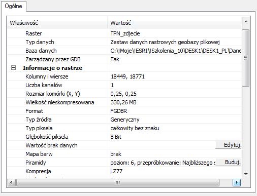 Właściwości danych rastrowych Źródło danych Typ pliku