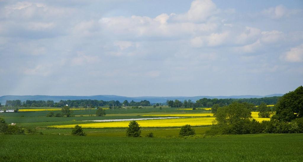 Wzrost obfitości i różnorodności roślin i zwierząt jest szczególnie widoczny w zadrzewieniach pasmowych, o dobrze rozwiniętej strefie styku z polami uprawnymi.