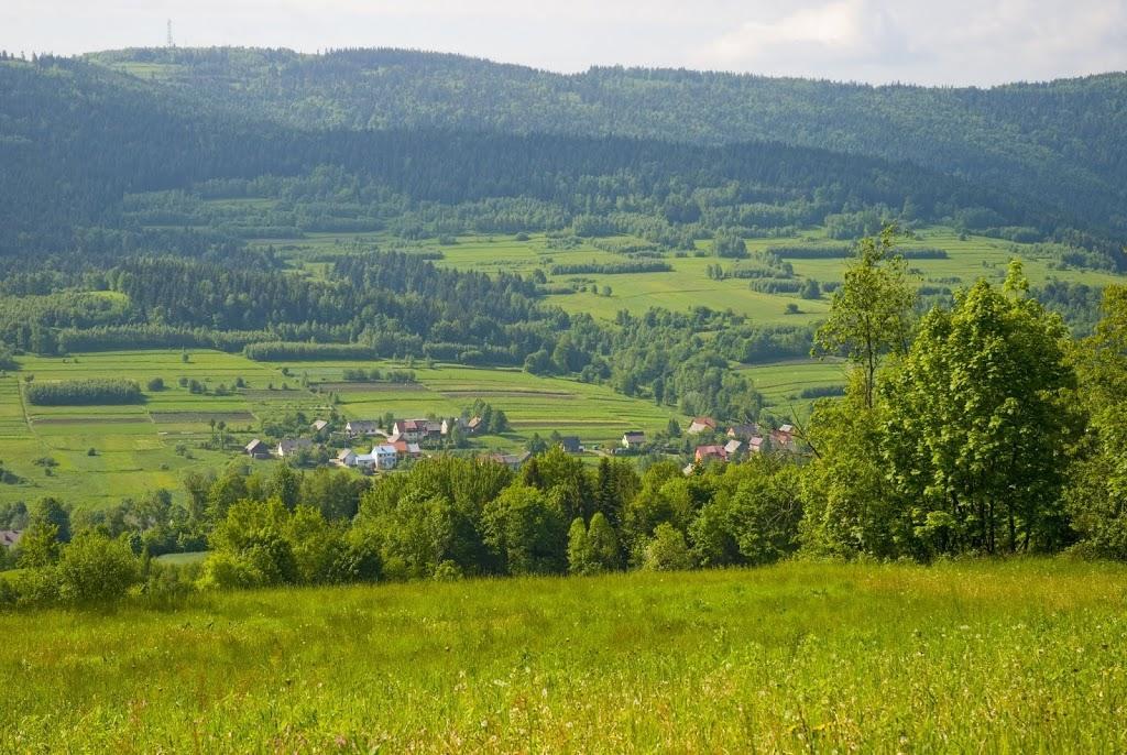 Fot. Gabriela Jaworowska Do funkcji zadrzewień decydujących o prawidłowym funkcjonowaniu krajobrazu rolniczego należą: barierowość biogeochemiczna