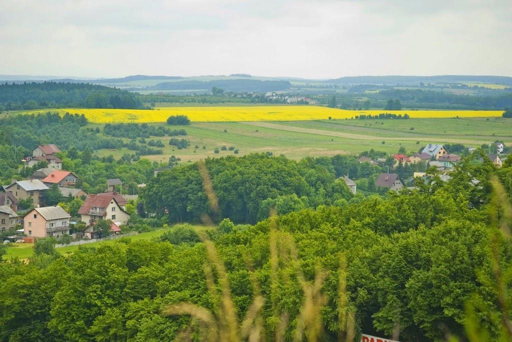 Zadrzewienia bardzo efektywnie przechwytują biogeny i inne zanieczyszczenia chemiczne (pozostałości środków ochrony roślin, metali ciężkich itp.