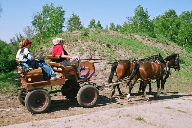 Gospodarstwa agroturystyczne oferują turystom ekologiczną, zdrową i smaczną żywność oraz cały szereg atrakcji, w tym m.in.