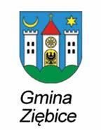 Regulamin zawodów 3xZ Grand Prix Powiatu Ząbkowickiego Ziębicka Dziesiątka 2017 I. Organizatorzy 1.