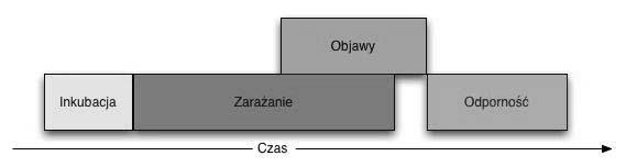 A. Wawer, R. Nielek, R. Kotowski gdzie N wielkość populacji, α współczynnik usuwania osobników po chorobie, a r zaraźliwość.