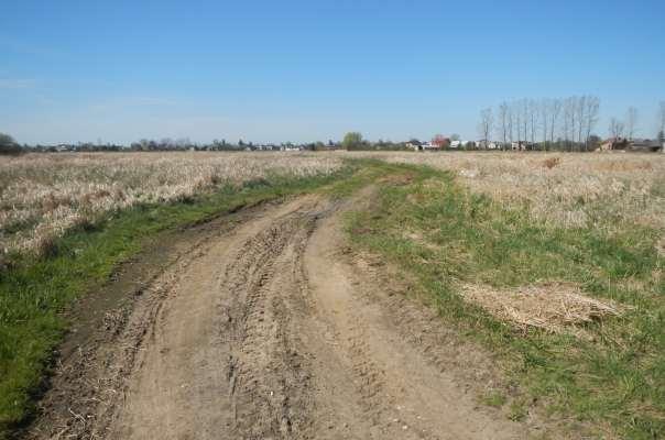 Droga gruntowa w Zajączkach I Częstochowskie Biuro Geodezji i
