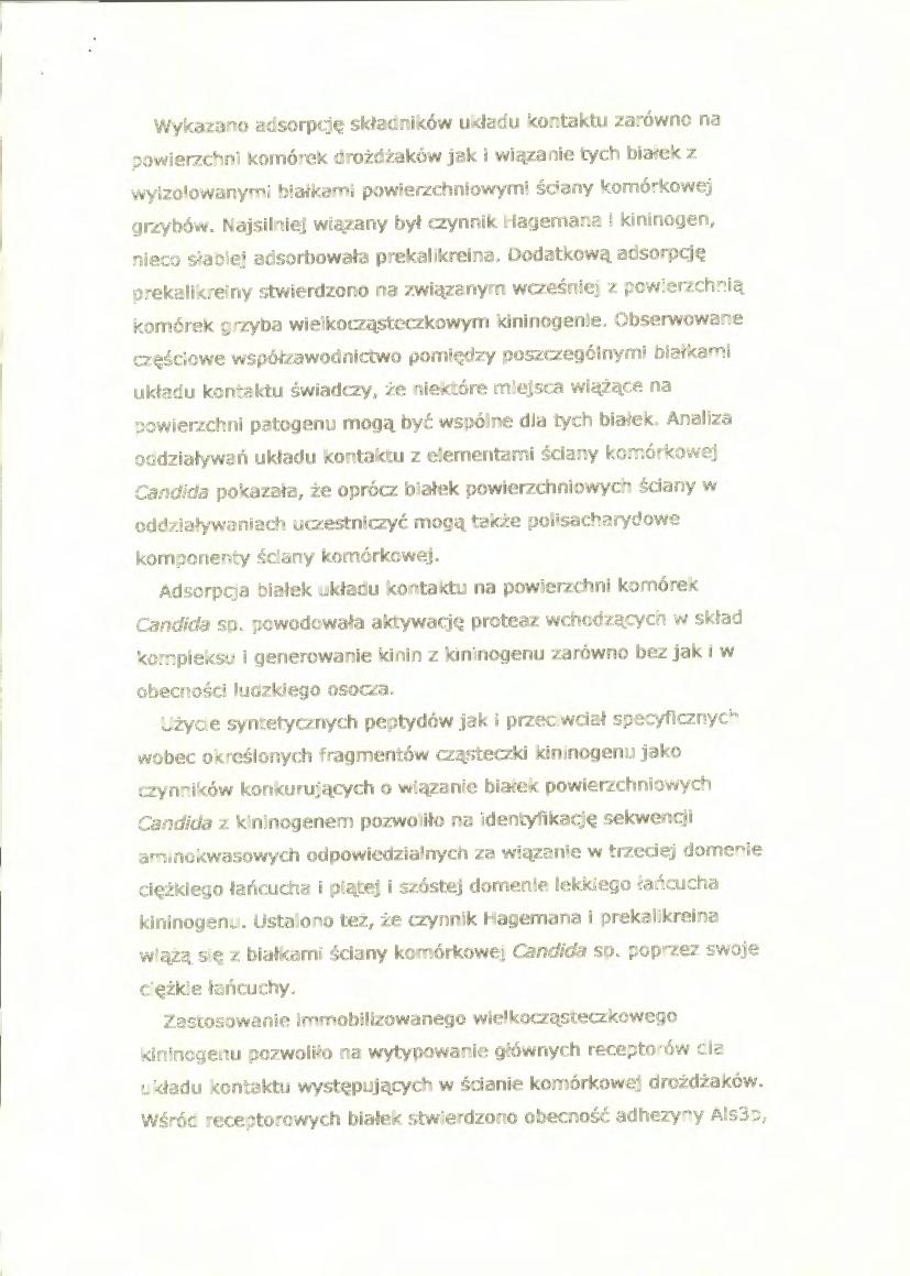 Wykazano adsorpcję składników układu kontaktu zarówno na powierzchni komórek drożdżaków jak i wiązanie tych białek z wyizolowanymi białkami powierzchniowymi ściany komórkowej grzybów.