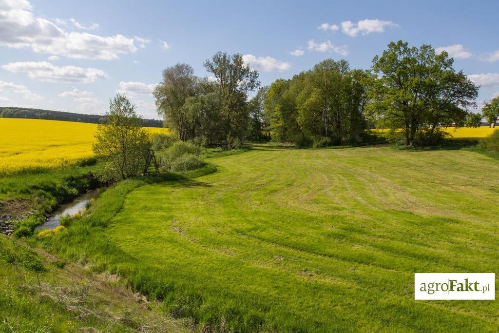 .pl https://www..pl Rolnik przekazujący gospodarstwo może otrzymać maksymalnie 7,5 tys. euro.