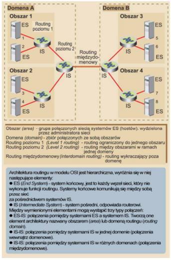 Algorytmy intradomain i interdomain Algorytmy trasowania intradomain operują wyłącznie w obszarze konkretnej domeny, podczas gdy algorytmy interdomain zawiadują pakietami biorąc pod uwag nie tylko