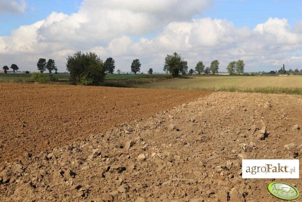 .pl https://www..pl Przy siewie pszenicy częstym błędem popełnianym przez rolników jest zbyt mały wysiew poszczególnych składników. (fot. AgroFoto.