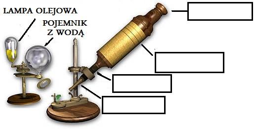 Karta pracy schemat mikroskopu