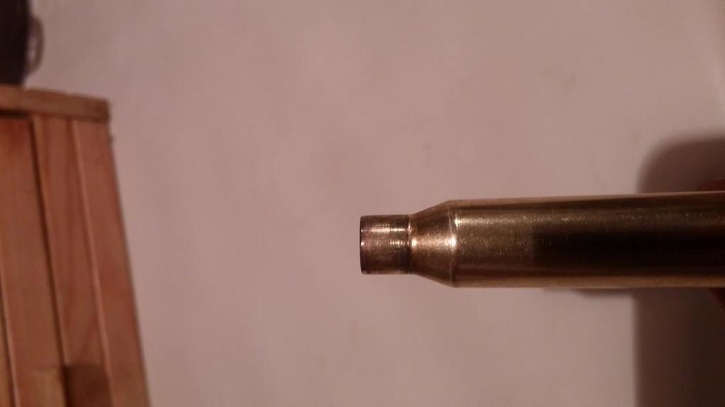 We wnętrzu łuski widać metaliczny połysk mosiądzu pod niewielka