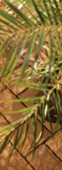 ATENY Elegancka stylizacja Szeroka spoina, ostre nieregularne krawędzie, zróżnicowane formaty, kolorystyka mix, gładka, lekko uwypuklona powierzchnia licowa, tworzą wyrafinowane podobieństwo do