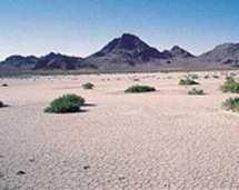 Wielka Pustynia Słona (ang. Great Salt Lake Desert) pustynia w USA w północnej części Wielkiej Kotliny, na zachód od Wielkiego Jeziora Słonego w stanie Utah i częściowo Nevada.