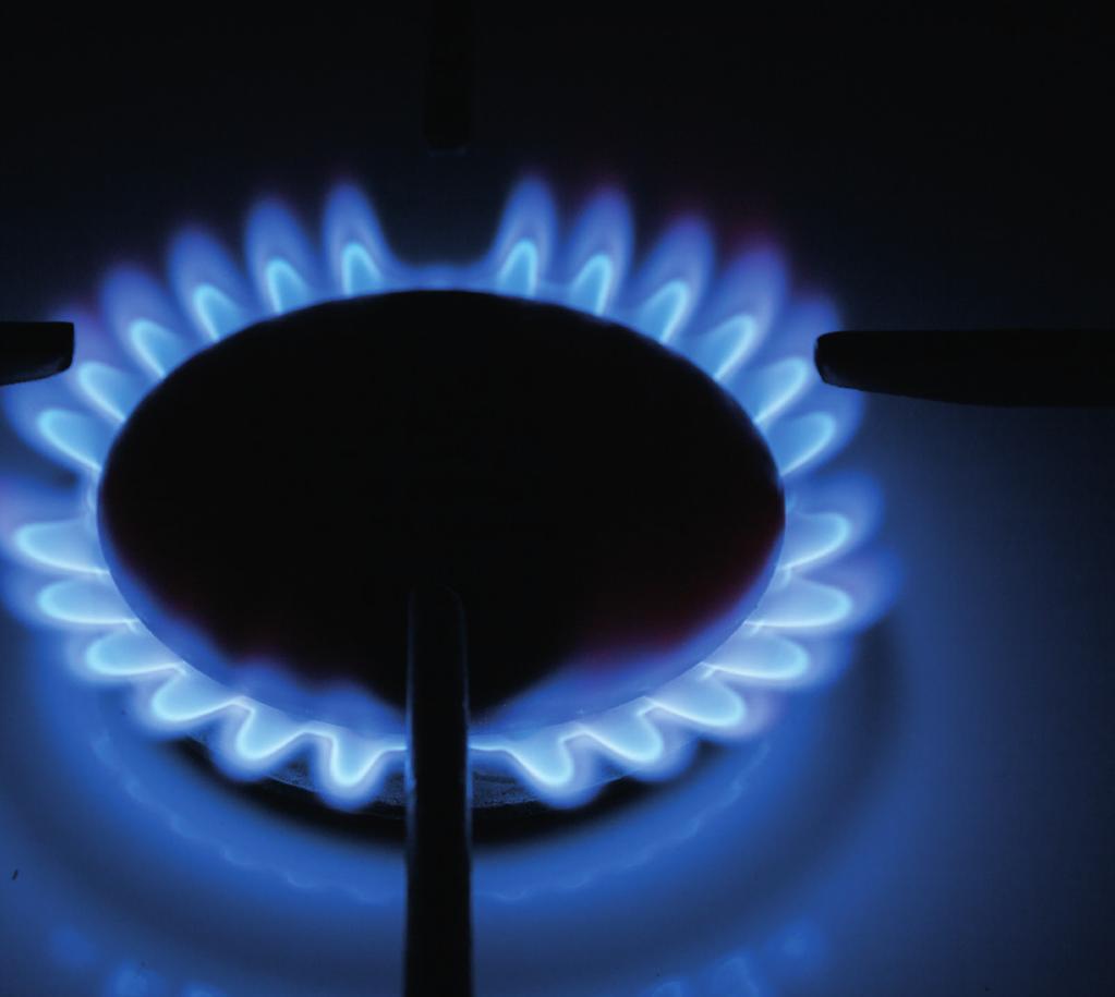 LPG jako alternatywne źródło energii dobry wybór Biorąc pod uwagę powyżej opisane możliwości dofinansowania, warto rozważyć wybór LPG jako alternatywnego źródła energii do swojego domu.