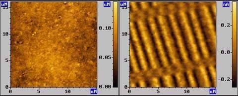 Ferromagnetyki