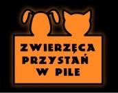 ANKIETA PRZEDADOPCYJNA PSA ze Stowarzyszenia Zwierzęca Przystań w Pile Ankietę przeprowadzono dnia.