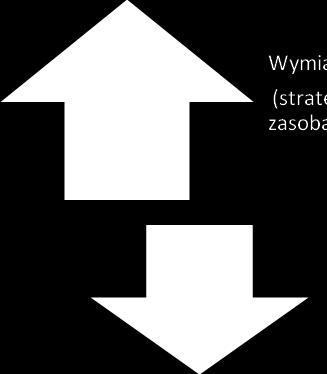 na sukces życiowy. Analizy 1 pokazują, że między sposobem odpowiadania na pytania o poszczególne czynniki sukcesu istnieją bardzo wyraźne zależności.