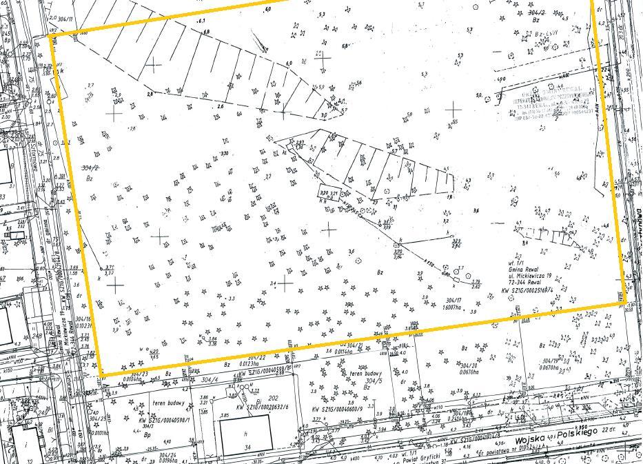 Mapa zasadnicza Projekt planu zagospodarowania