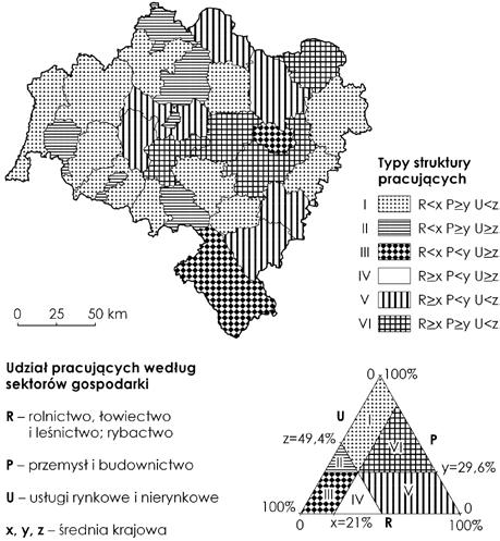 Rozprawy Naukowe Instytutu Geografii i Rozwoju Regionalnego Uniwersytetu Wrocławskiego 22 szarze powiatu szeregu przedsiębiorstw oferujących miejsca pracy na podstawie stosunku pracy zawiązane z