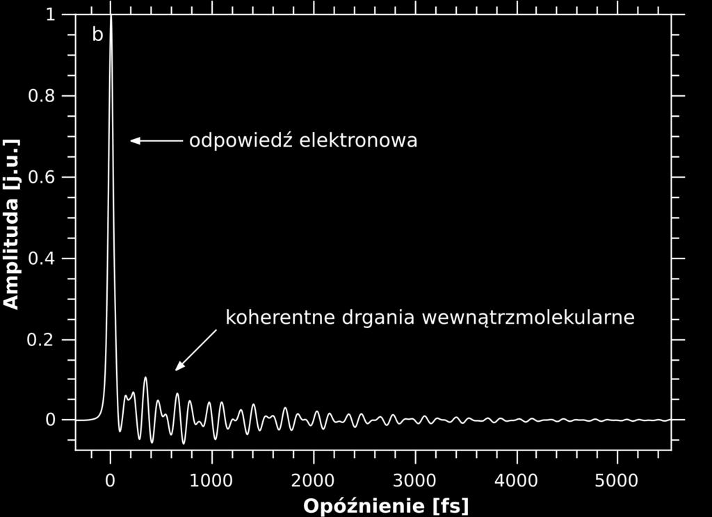 cząsteczek (czasem potrzebnym cząsteczkom o równej amplitudzie wzbudzonych oscylacji na uzyskanie losowej orientacji), natomiast τ ϕ odpowiada zanikowi koherencji (rozfazowaniu)