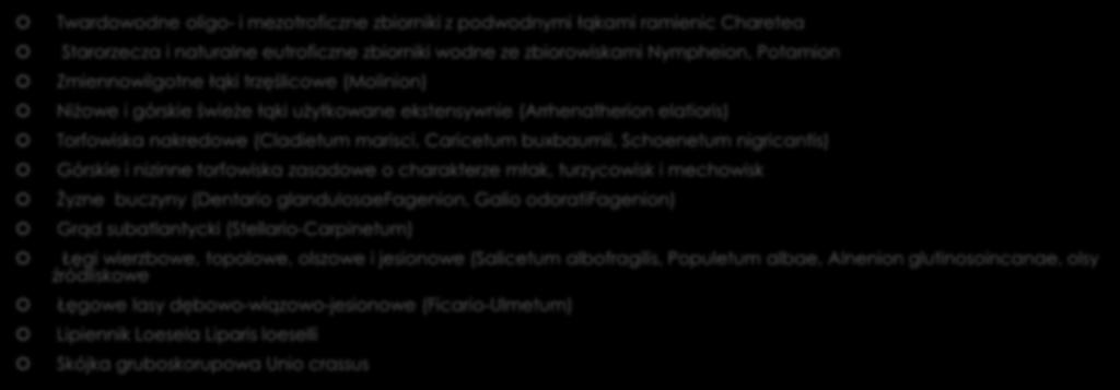 Co jest przedmiotem ochrony na obszarze Natura 2000 (typy siedlisk przyrodniczych, gatunki roślin i zwierząt, które uważa się za cenne i zagrożone wyginięciem w skali całej Europy)?