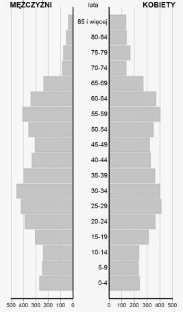 Piramida wieku, jaka odpowiada zjawiskom demograficznym w gminie Bierutów, ma charakter regresywny. Obrazuje ona typ ludności starej oraz wskazuje na niebezpieczeństwo wystąpienia depopulacji.