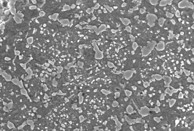 µm Rys.7.3 Struktura cząstek proszku stali szybkotnącej gatunku M3/2, SEM Na rysunku 7.