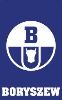 Sprawozdanie finansowe Boryszew S.A.