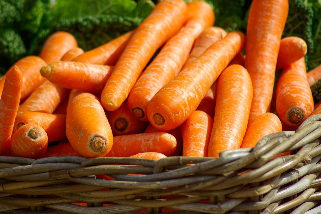 SIBO Specific Diet protokół dr Siebecker Protokół dr Siebecker, jednej z największych specjalistek na świecie w dziedzinie SIBO, powstał w odpowiedzi na potrzeby pacjentów, cierpiących na tę