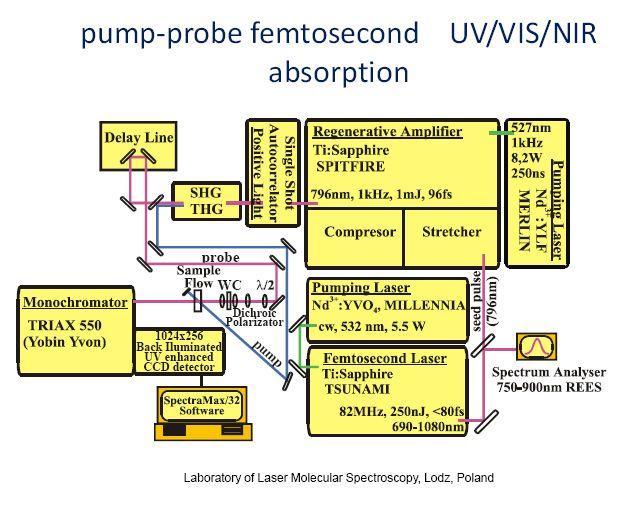 Schemat femtosekundowego układu laserowego do monitorowania zmian absorpcji